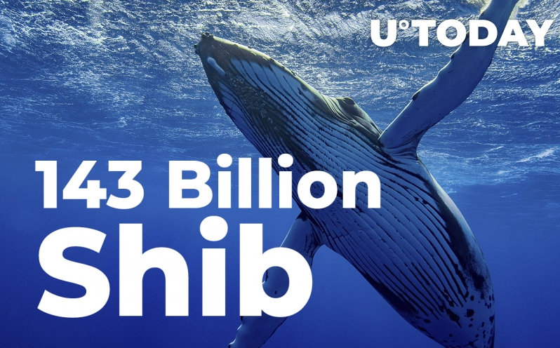 یک نهنگ، ۱۴۳ میلیارد توکن شیبا اینو خریداری کرده است